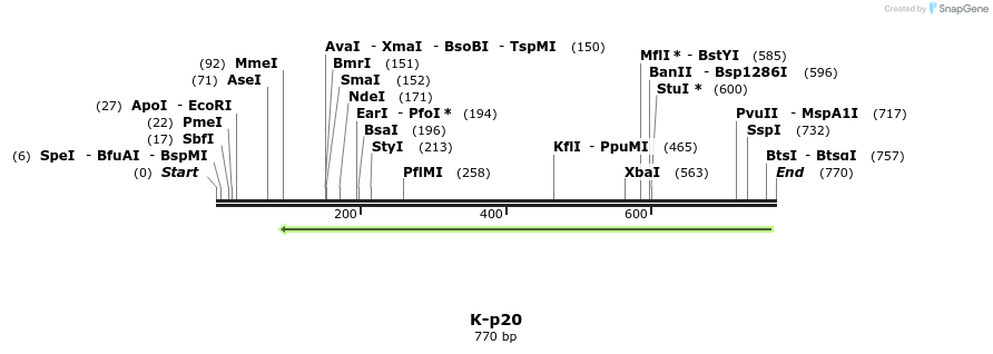 51540_map