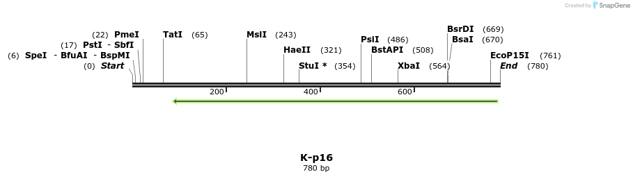 51542_map
