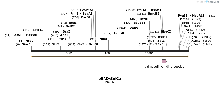 515429_map