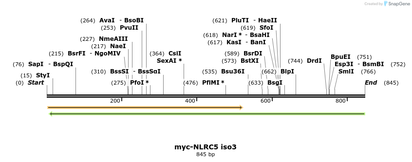 51543_map