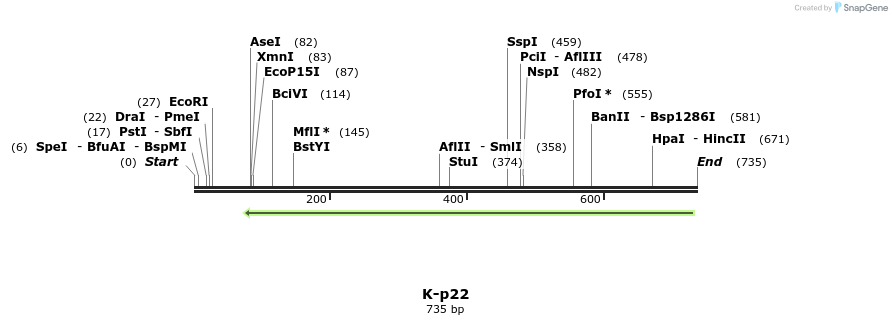 51544_map