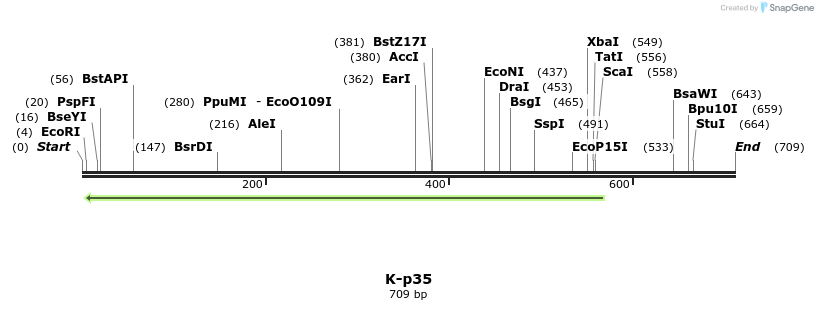 51545_map