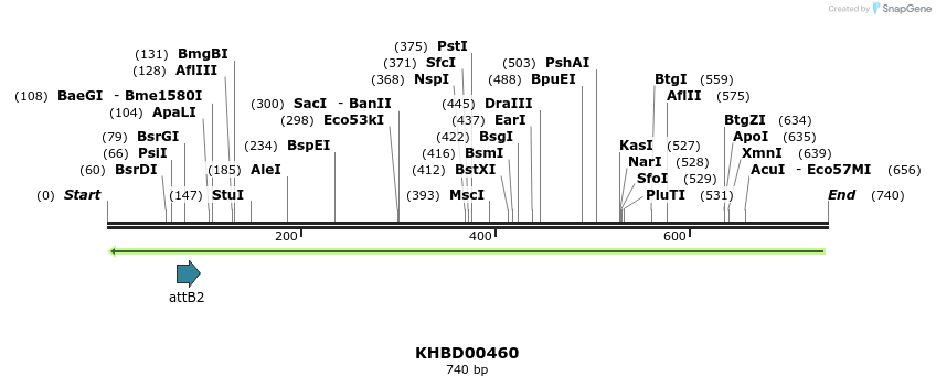 51546_map