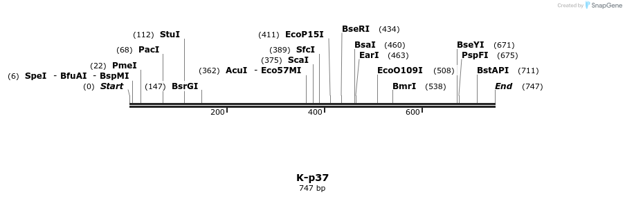 51548_map