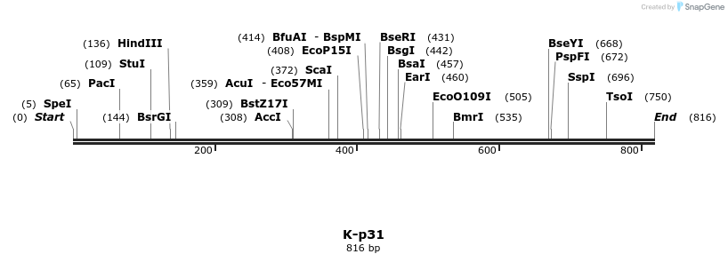 51549_map