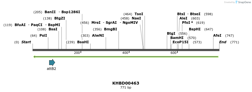 51550_map