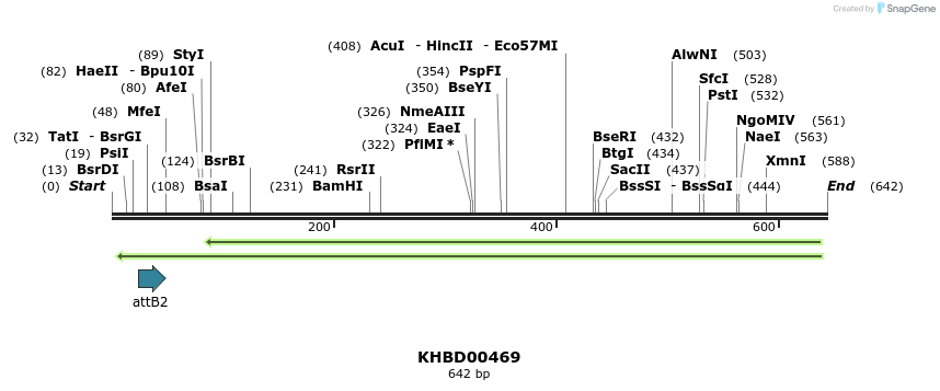 51559_map