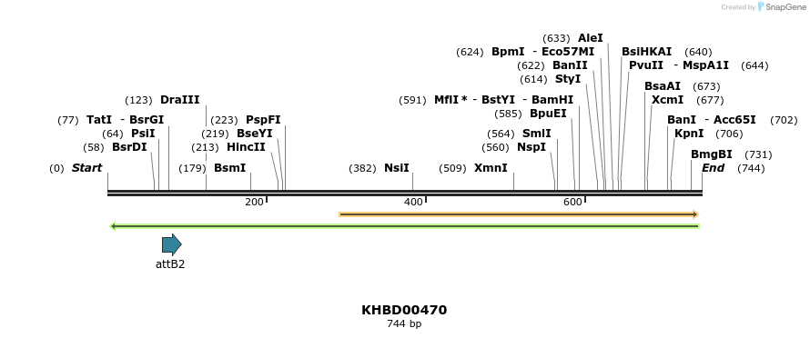 51560_map