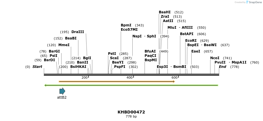 51561_map