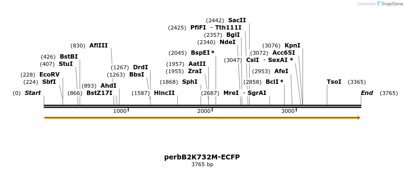 51571_map