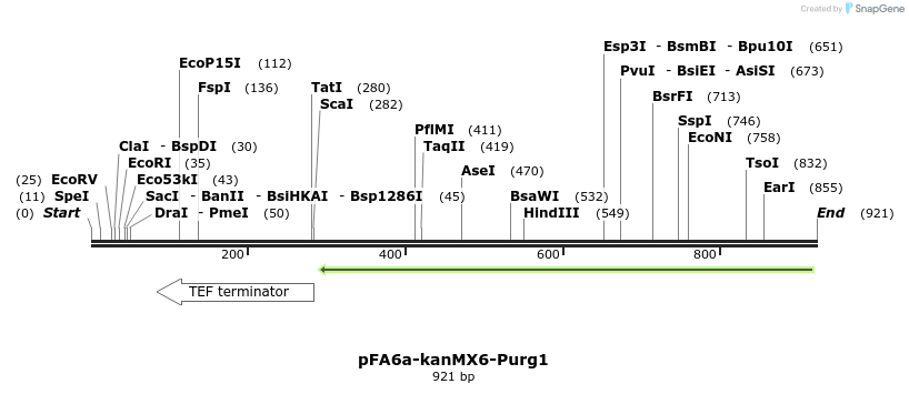 51574_map