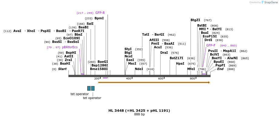 51575_map