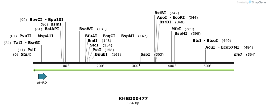 51577_map