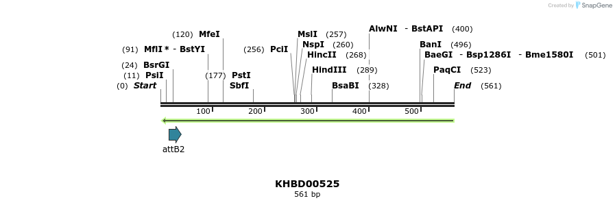 51580_map
