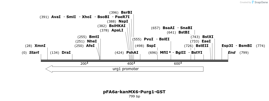51581_map