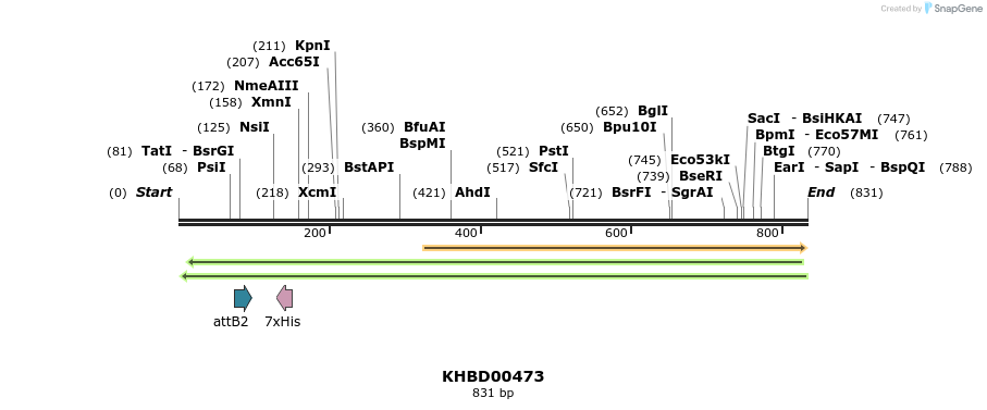 51582_map
