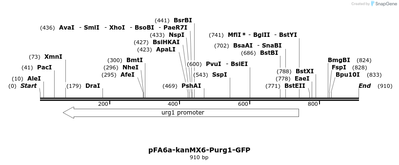 51583_map