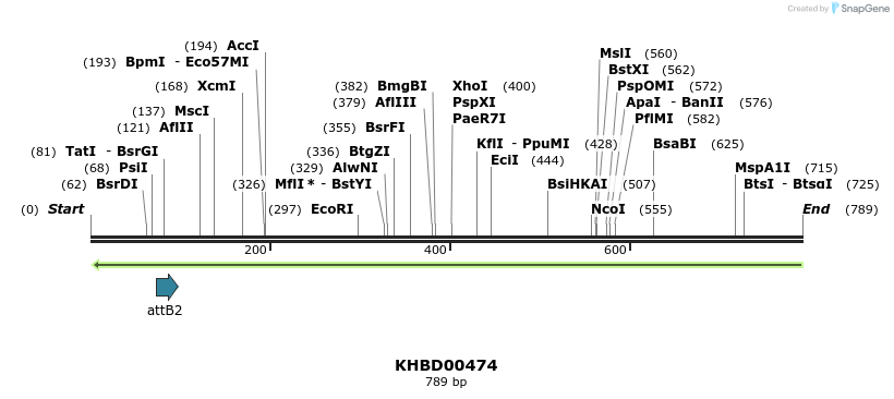 51584_map