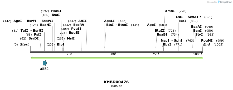 51586_map