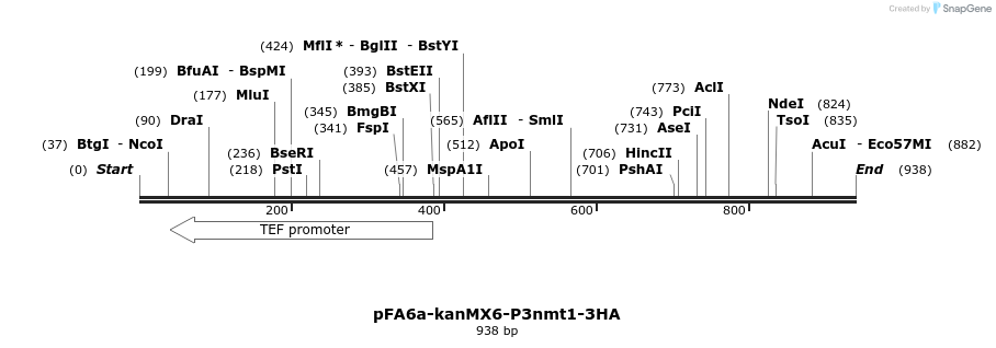 51587_map