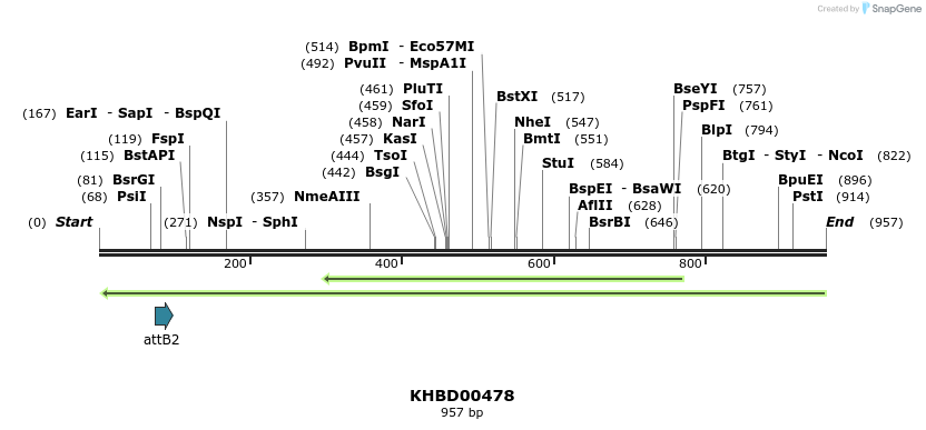 51588_map