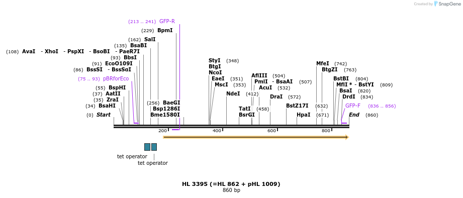 51591_map