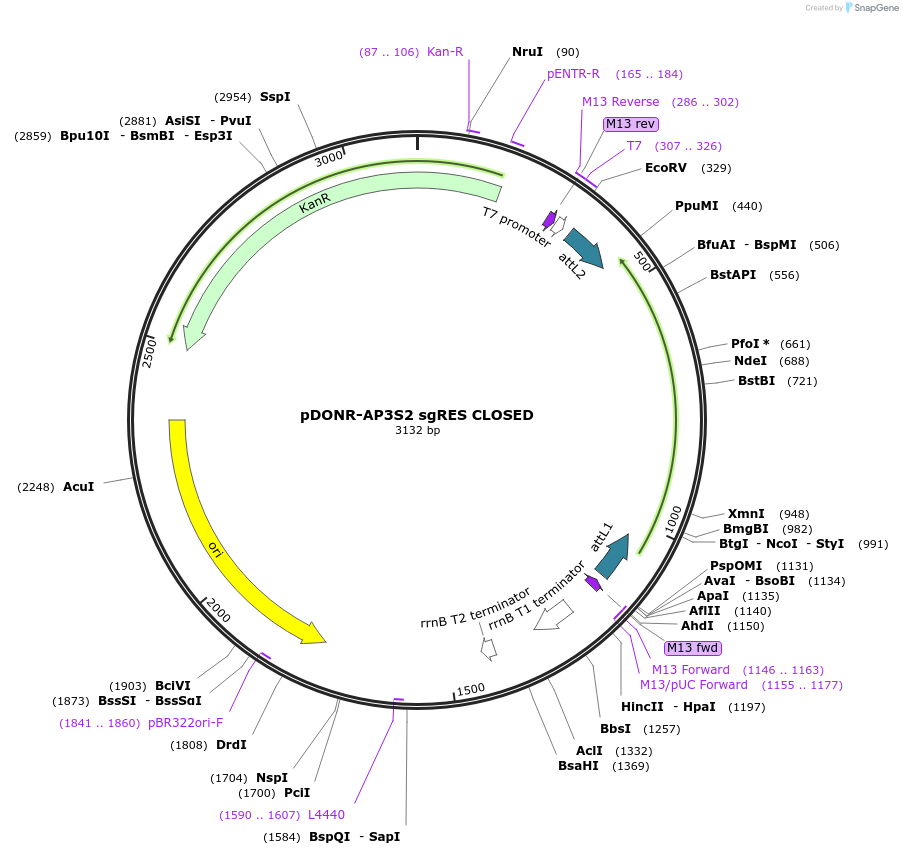 515918_map