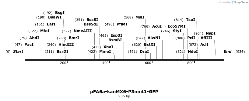 51594_map