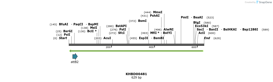 51595_map