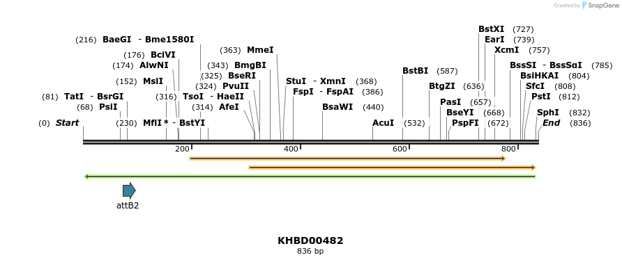51597_map