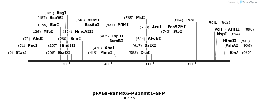51599_map