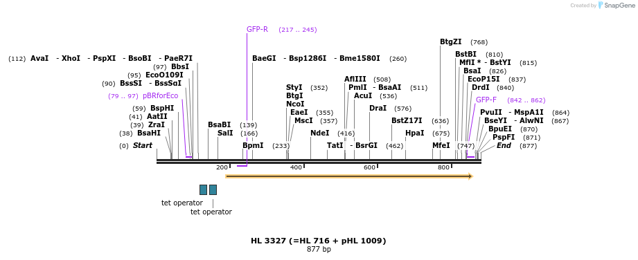 51600_map