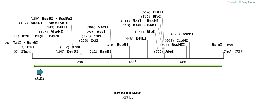 51601_map