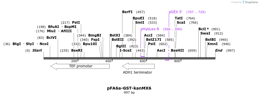51602_map
