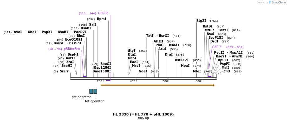 51607_map