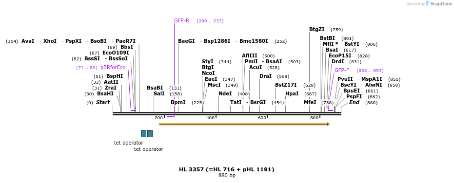 51608_map