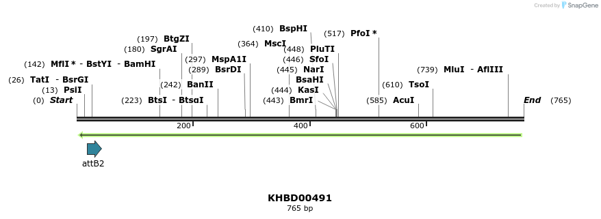 51611_map