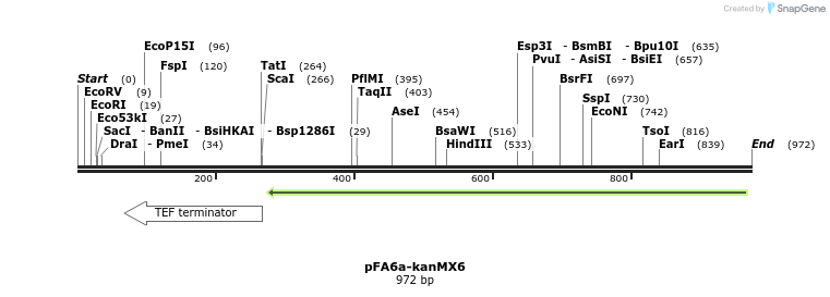 51612_map