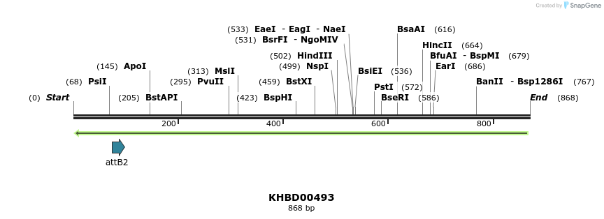 51613_map