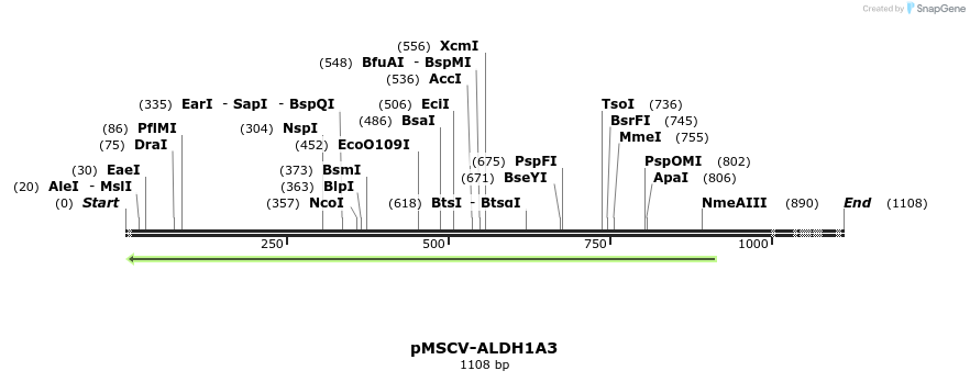 516135_map