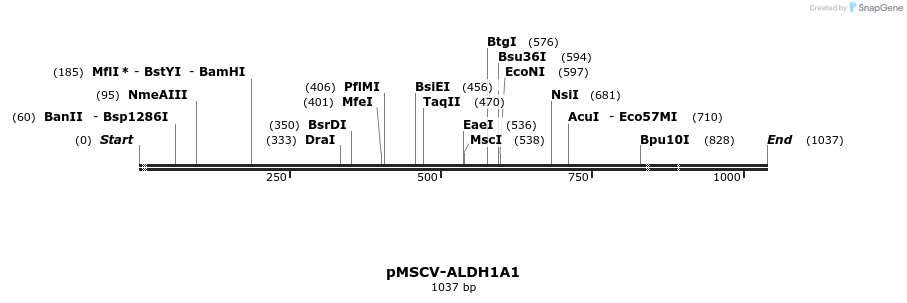 516136_map