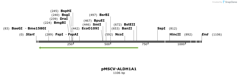 516137_map