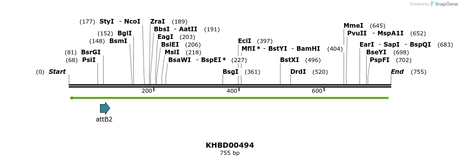 51614_map