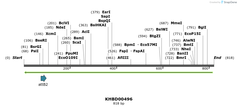51617_map