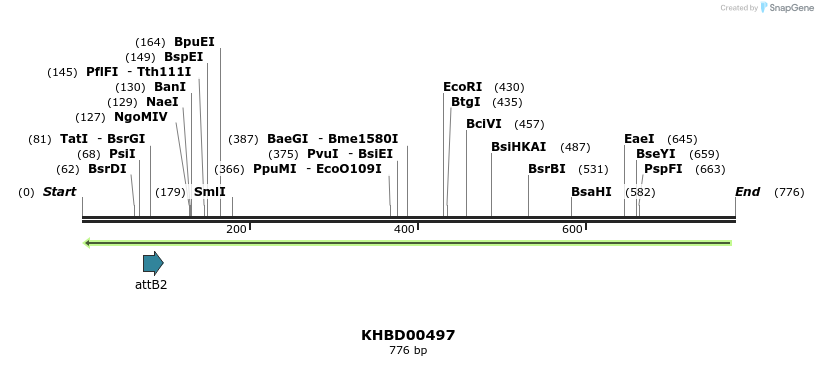 51619_map