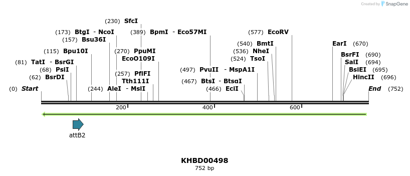 51620_map