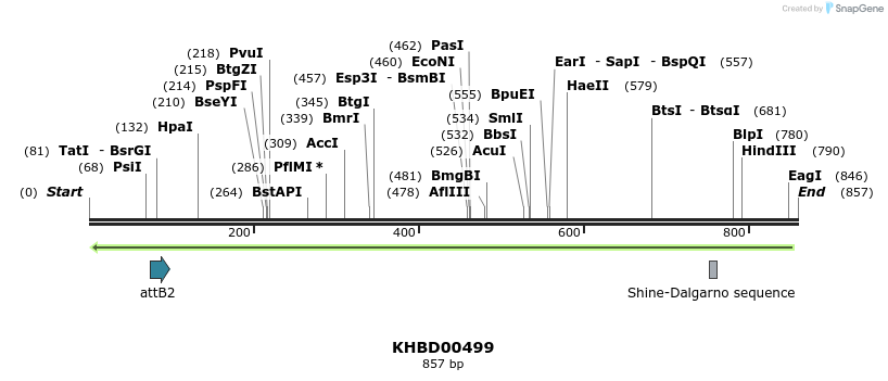51622_map