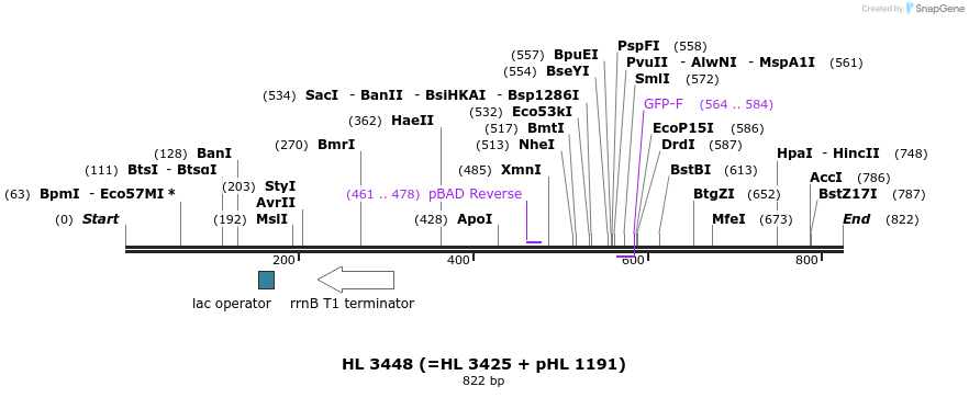 51623_map