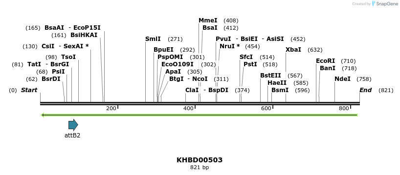 51631_map