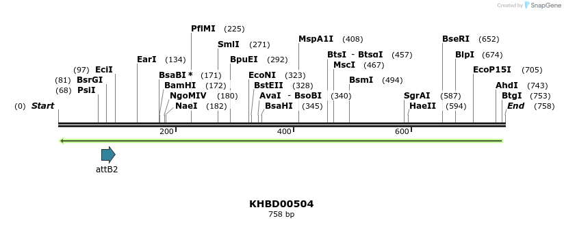 51633_map
